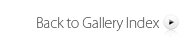 Back to Gallery Index