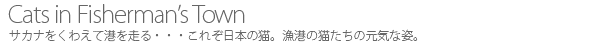 サカナをくわえて港を走る・・・これぞ日本の猫。田代島の猫たちの元気な姿。