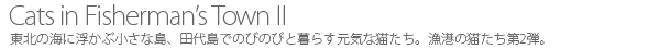 東北の海に浮かぶ小さな島、田代島でのびのびと暮らす元気な猫たち。漁港の猫たち第2弾。